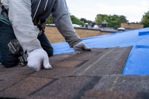 Best Storm Damage Roof Repair  in Taylors, SC